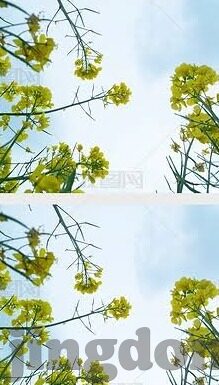 迅雷哥伦理片-迅雷哥与伦理片，网络时代的文化交汇与反思